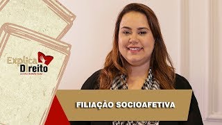 Explica Direito Filiação Socioafetiva  2019 [upl. by Salem]