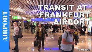 TRANSIT WALK AT FRANKFURT Airport FRA Terminal 1  Connection Flight Transfer Arriving amp Departing [upl. by Betsy]